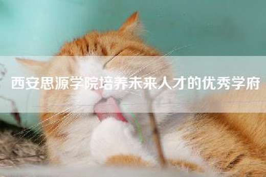 西安思源学院培养未来人才的优秀学府