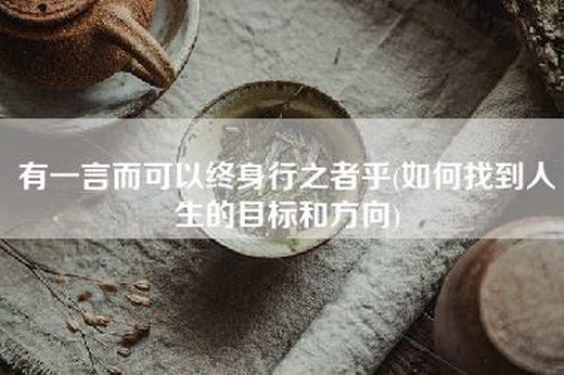 有一言而可以终身行之者乎(如何找到人生的目标和方向)
