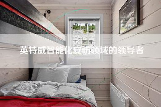 英特威智能化安防领域的领导者