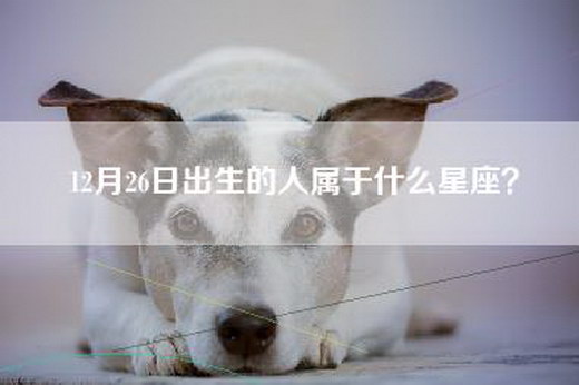 12月26日出生的人属于什么星座？