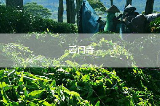 云门寺