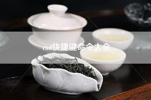 cad快捷键命令大全