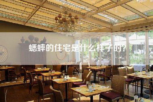 蟋蟀的住宅是什么样子的？