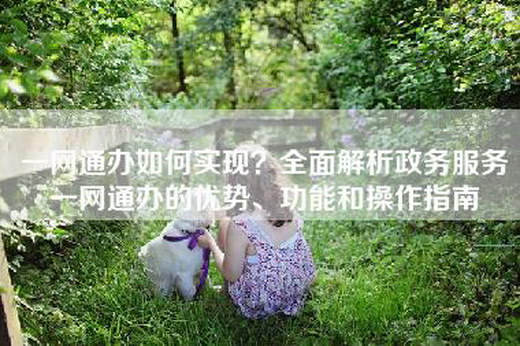 一网通办如何实现？全面解析政务服务一网通办的优势、功能和操作指南