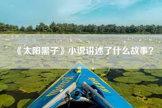 《太阳黑子》小说讲述了什么故事？