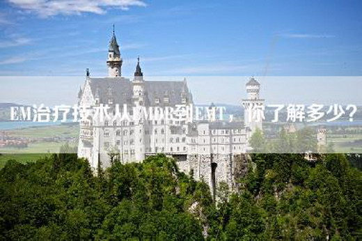 EM治疗技术从EMDR到EMT，你了解多少？