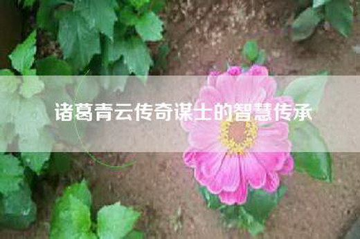诸葛青云传奇谋士的智慧传承