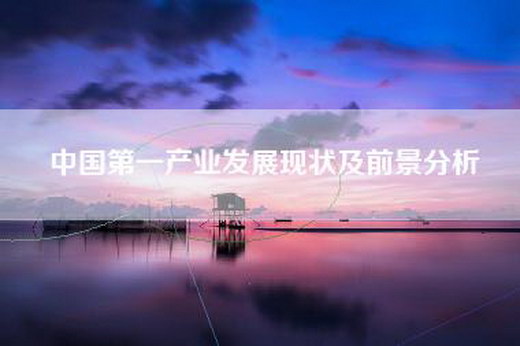 中国第一产业发展现状及前景分析
