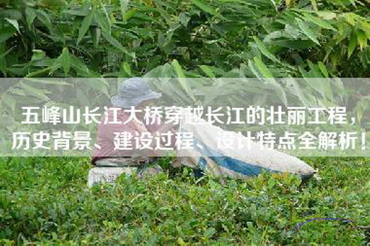 五峰山长江大桥穿越长江的壮丽工程，历史背景、建设过程、设计特点全解析！