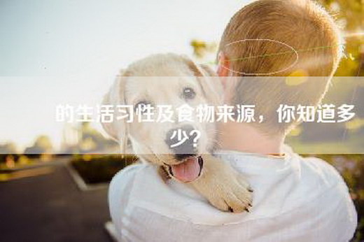 鸑鷟的生活习性及食物来源，你知道多少？
