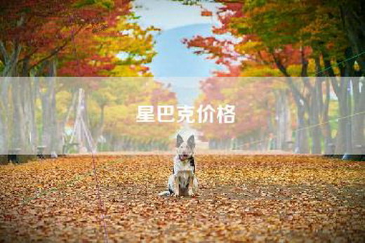 星巴克价格