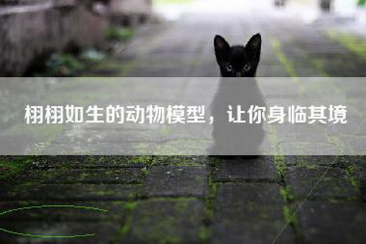 栩栩如生的动物模型，让你身临其境