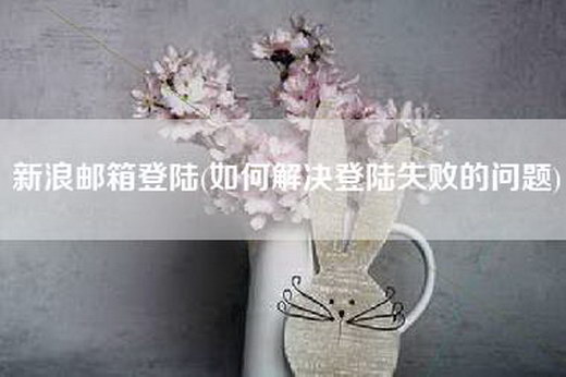 新浪邮箱登陆(如何解决登陆失败的问题)