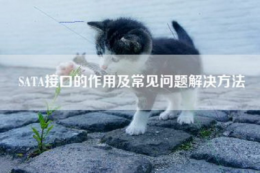 SATA接口的作用及常见问题解决方法