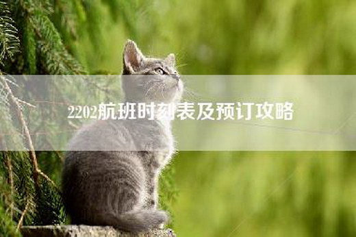 2202航班时刻表及预订攻略