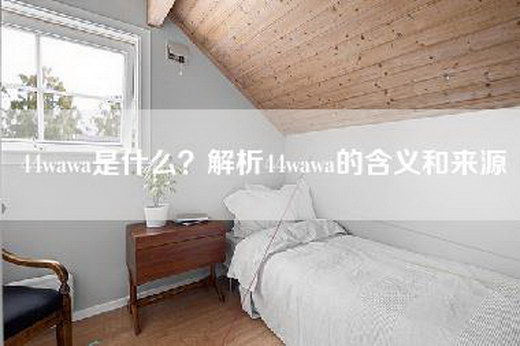 44wawa是什么？解析44wawa的含义和来源