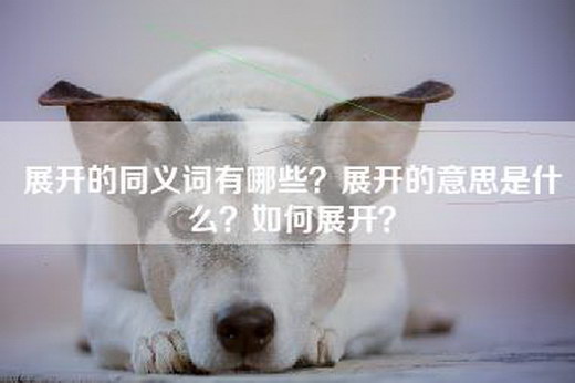 展开的同义词有哪些？展开的意思是什么？如何展开？