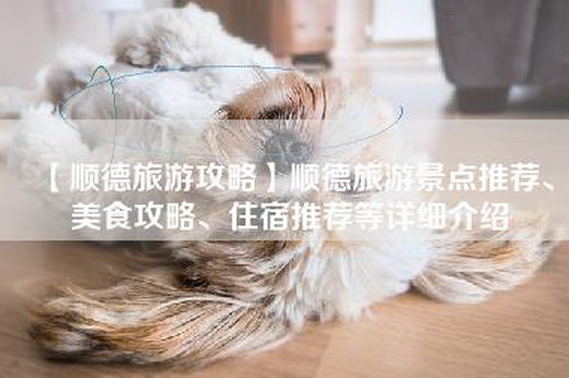 【顺德旅游攻略】顺德旅游景点推荐、美食攻略、住宿推荐等详细介绍