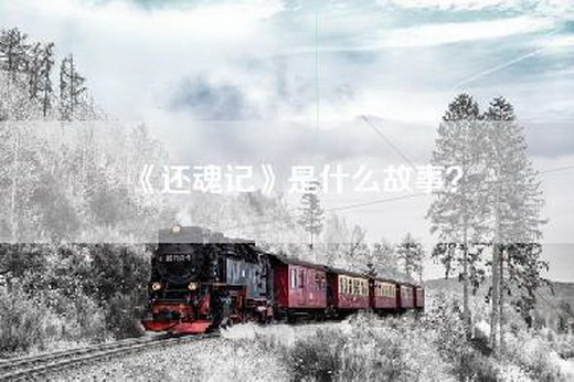 《还魂记》是什么故事？
