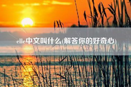 elle中文叫什么(解答你的好奇心)