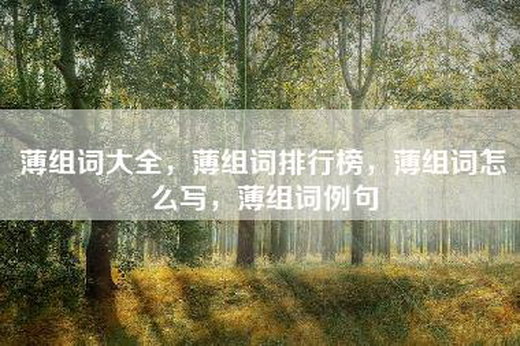 薄组词大全，薄组词排行榜，薄组词怎么写，薄组词例句