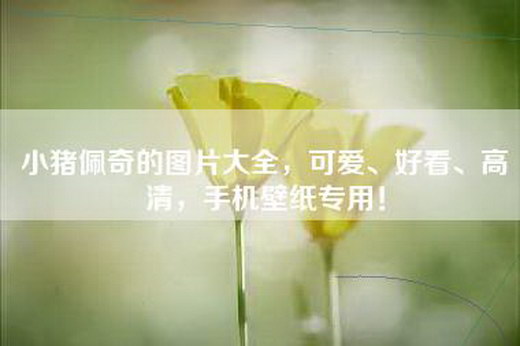 小猪佩奇的图片大全，可爱、好看、高清，手机壁纸专用！
