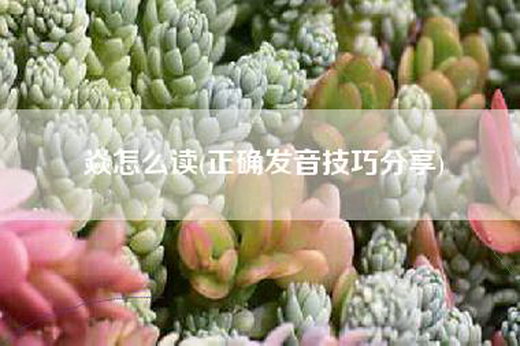 焱怎么读(正确发音技巧分享)