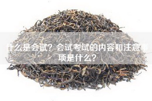 什么是会试？会试考试的内容和注意事项是什么？