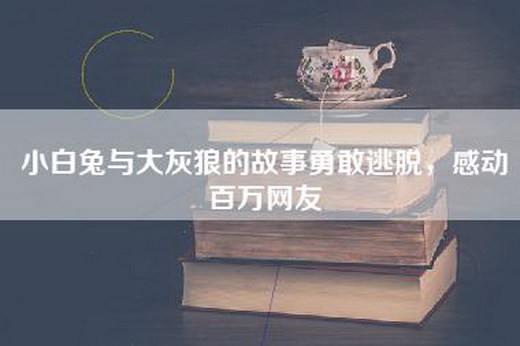 小白兔与大灰狼的故事勇敢逃脱，感动百万网友
