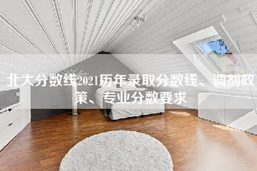 北大分数线2021历年录取分数线、调剂政策、专业分数要求