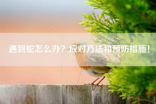 遇到蛇怎么办？应对方法和预防措施！