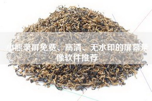 小熊录屏免费、高清、无水印的屏幕录像软件推荐