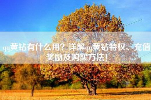 qq黄钻有什么用？详解qq黄钻特权、充值奖励及购买方法！