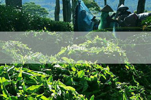 tellme