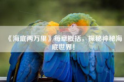 《海底两万里》每章概括，探秘神秘海底世界！