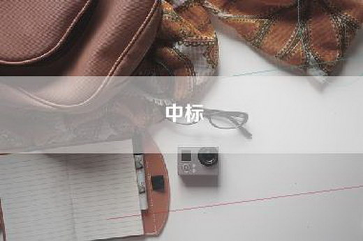 中标