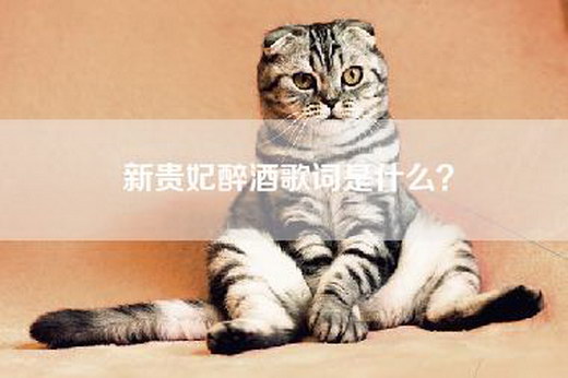 新贵妃醉酒歌词是什么？