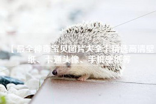 【最全神奇宝贝图片大全】精选高清壁纸、卡通头像、手机壁纸等