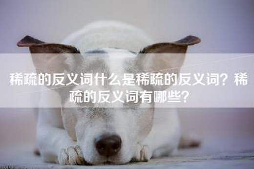 稀疏的反义词什么是稀疏的反义词？稀疏的反义词有哪些？