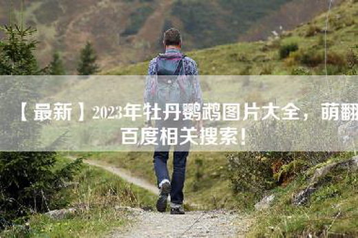 【最新】2023年牡丹鹦鹉图片大全，萌翻百度相关搜索！
