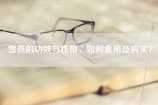 雪燕的功效与作用，如何食用及购买？