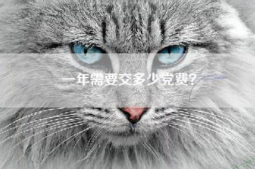 一年需要交多少党费？