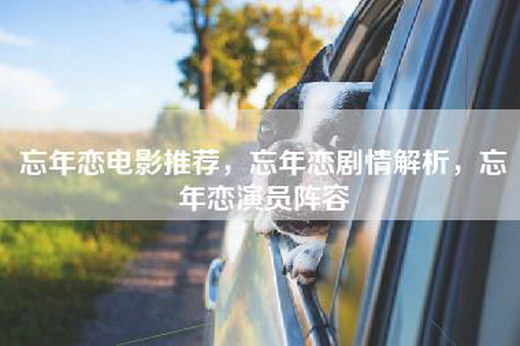 忘年恋电影推荐，忘年恋剧情解析，忘年恋演员阵容