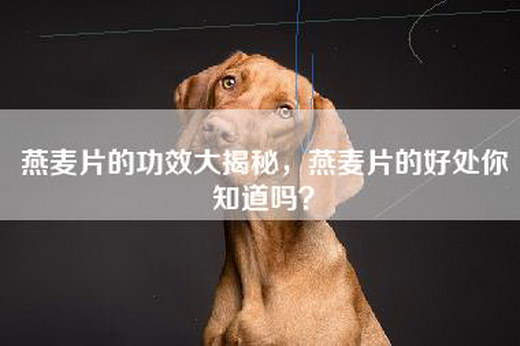 燕麦片的功效大揭秘，燕麦片的好处你知道吗？