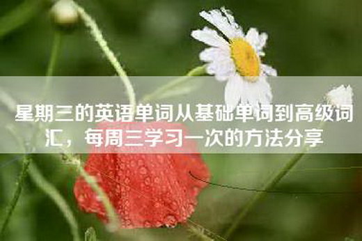 星期三的英语单词从基础单词到高级词汇，每周三学习一次的方法分享