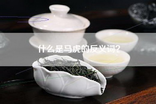 什么是马虎的反义词？