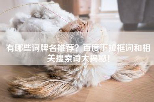 有哪些词牌名推荐？百度下拉框词和相关搜索词大揭秘！
