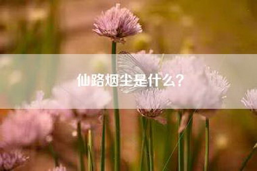 仙路烟尘是什么？
