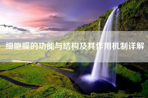 细胞膜的功能与结构及其作用机制详解