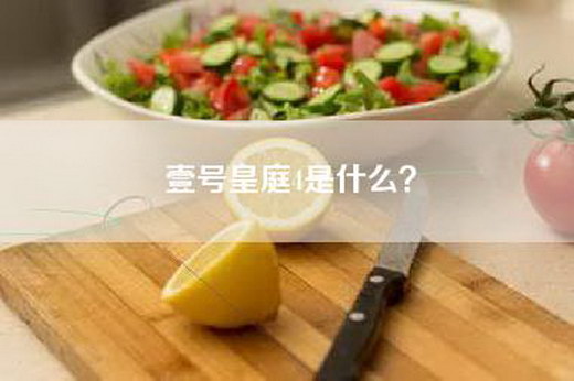 壹号皇庭4是什么？